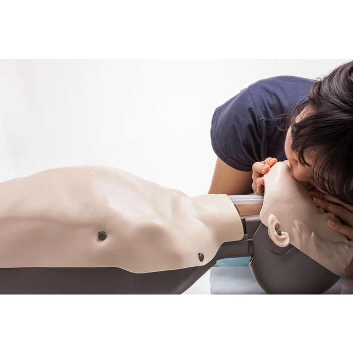 Brayden Adult Male Manikin with NO Illumination
