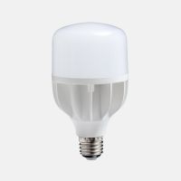 Daylight 18w LED Bulb