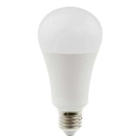 Daylight 15w LED Bulb