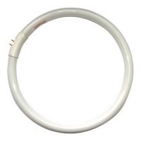 Daylight 28W Circular Fluorescent Tube