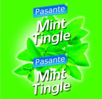 Pasante mint tingle condoms, bulk pack (pack of 144)