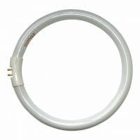 Daylight 22W Circular Fluorescent Tube