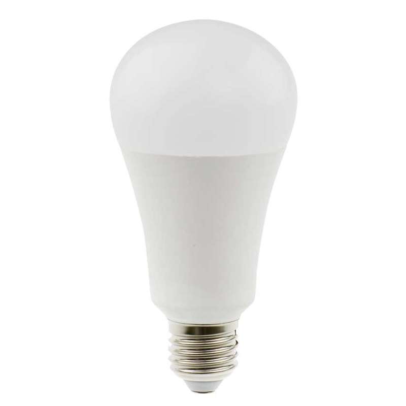 Daylight 15w LED Bulb