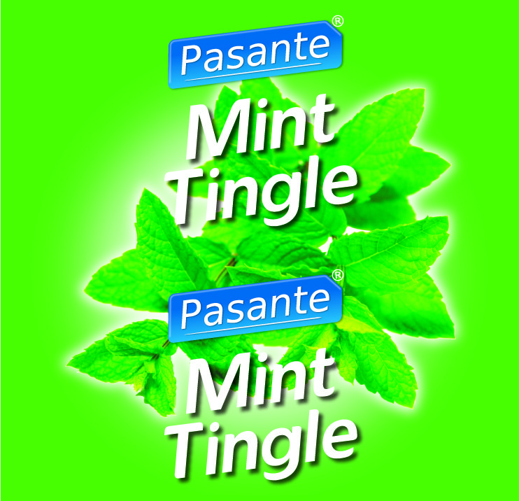 Pasante mint tingle condoms, bulk pack (pack of 144)