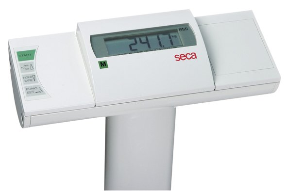 SECA 704 Electronic Column Scale with Wireless Data Transmission