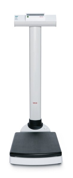 SECA 704 Electronic Column Scale with Wireless Data Transmission