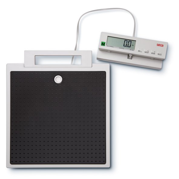SECA 899 Robust Flat Scale with Cabled Remote Display 